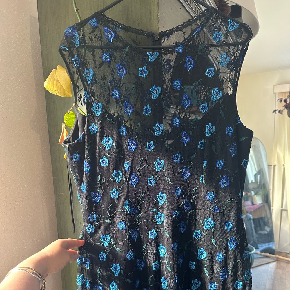 Dress the Population maxi with liner
